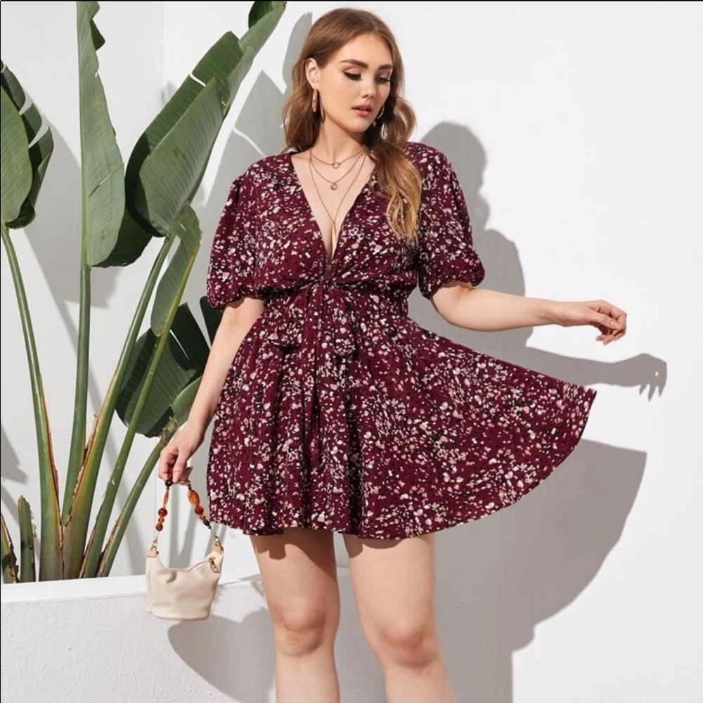 Ditsy Floral Print Front Tie Plunging Neck Dress